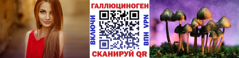 Галлюциногенные грибы Psilocybine cubensis  даркнет наркотические препараты  Ясный  купить наркотики сайты 